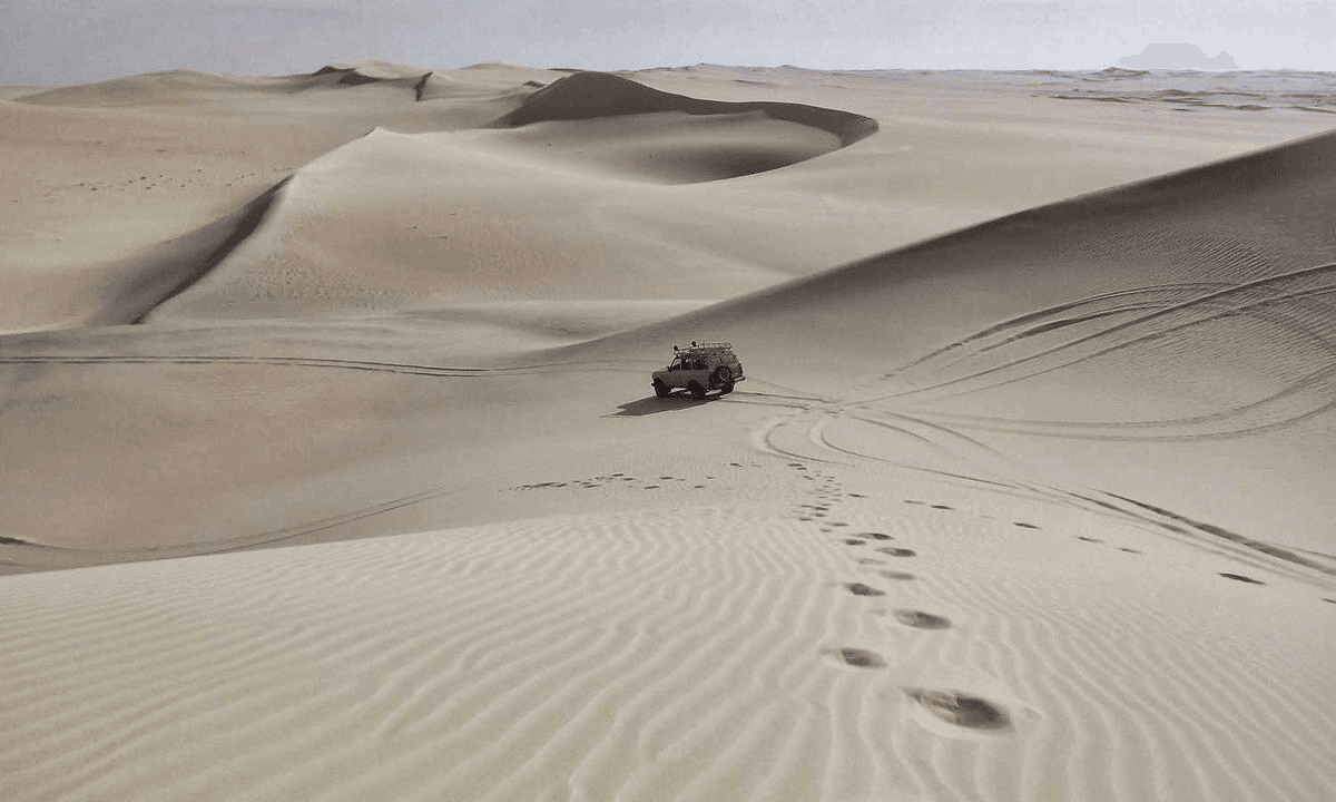 Иллюстрация: service